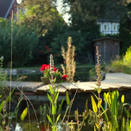 Benke, Fachwerkhaus In Westfalen 빌라 *