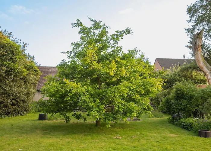 Benke, Fachwerkhaus In Westfalen ダッテルン