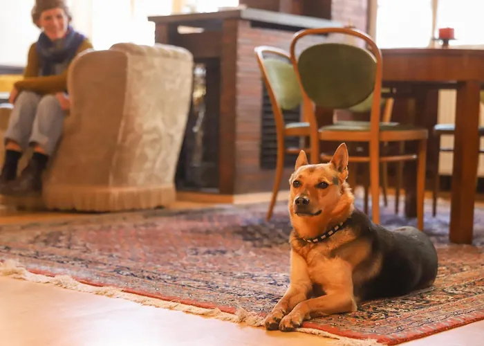 Benke, Fachwerkhaus In Westfalen ヴィラ