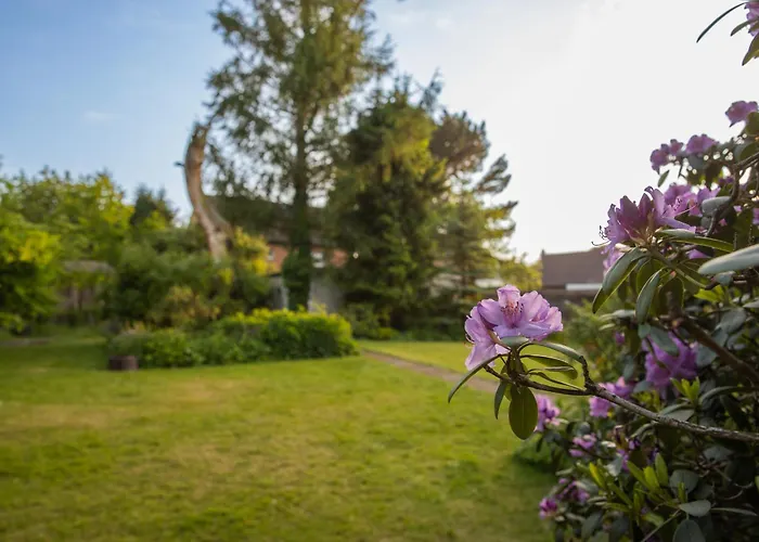 Benke, Fachwerkhaus In Westfalen * ダッテルン