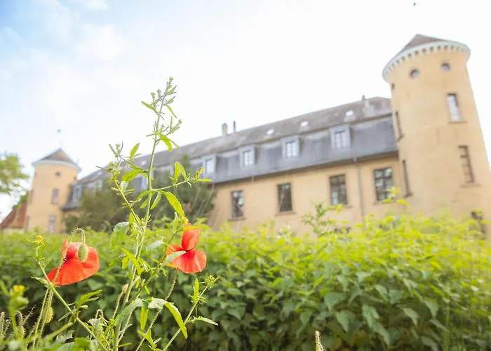 ヴィラ Benke, Fachwerkhaus In Westfalen ダッテルン