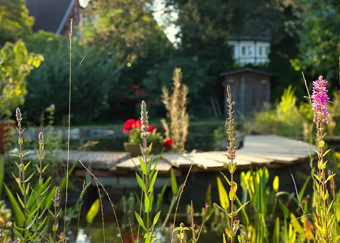 Benke, Fachwerkhaus In Westfalen ヴィラ *