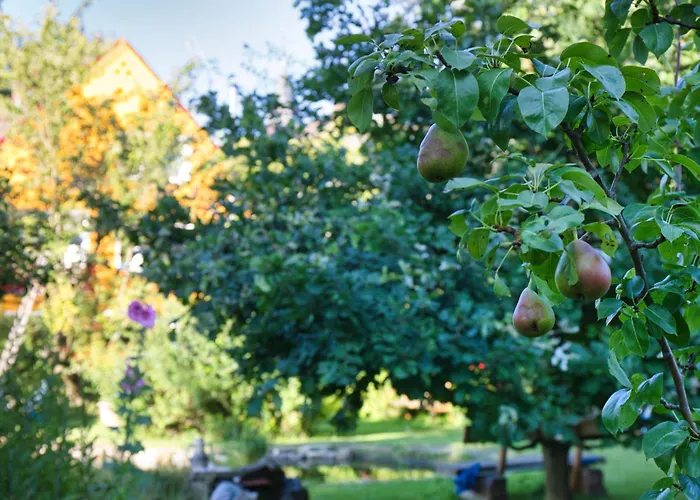 ヴィラ Benke, Fachwerkhaus In Westfalen ダッテルン
